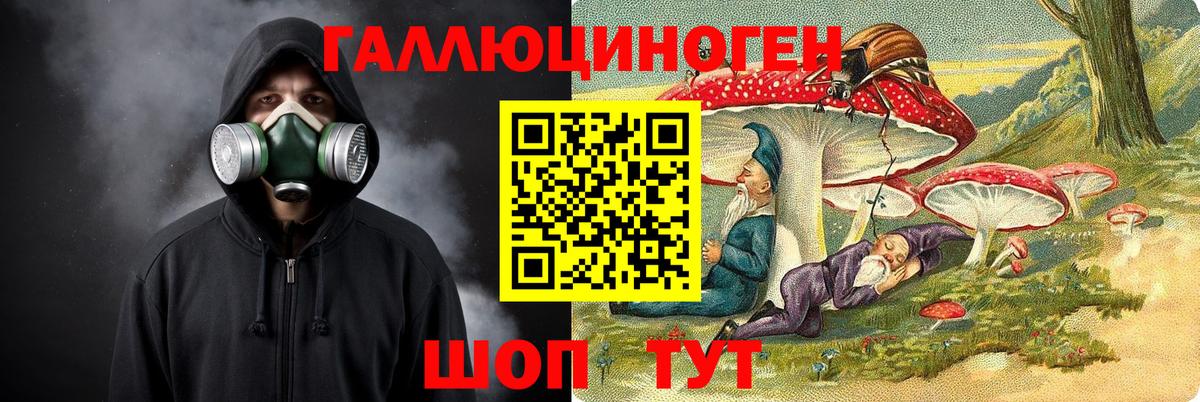 Знаменск  Псилоцибиновые грибы прущие грибы  Галлюциногенные грибы GOLDEN TEACHER  Вход с VPN 